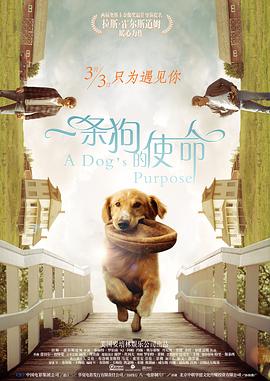 91国语精品3p在线观看